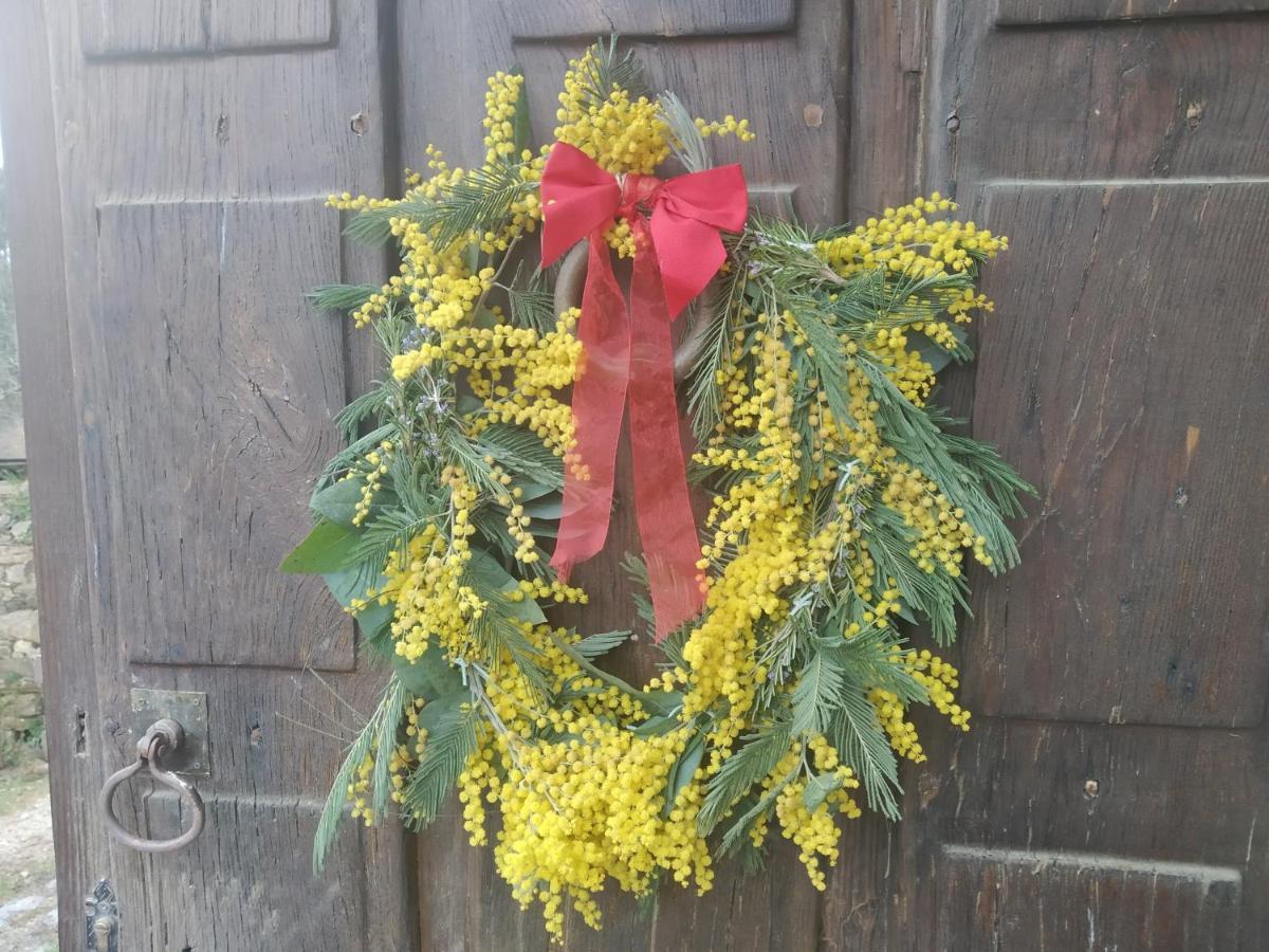 Apartamento Felicitas En La Casa De Cobos, Ribeira Sacra Puebla Del Brollon Extérieur photo
