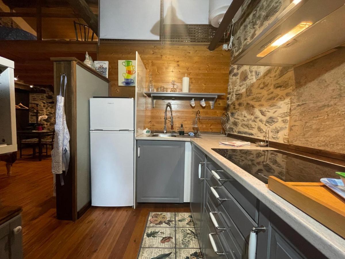 Apartamento Felicitas En La Casa De Cobos, Ribeira Sacra Puebla Del Brollon Extérieur photo